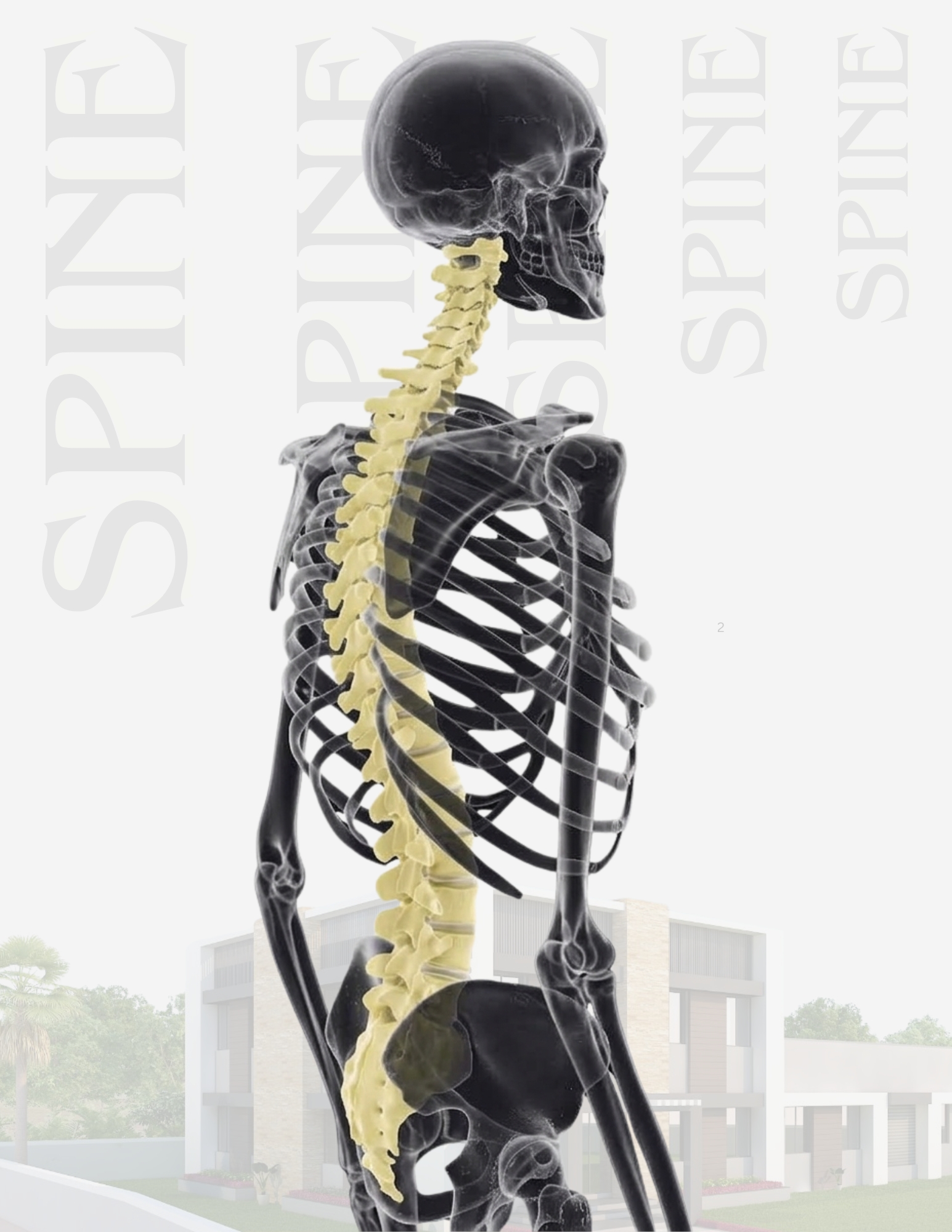 Spine Systems implant and specification presentation