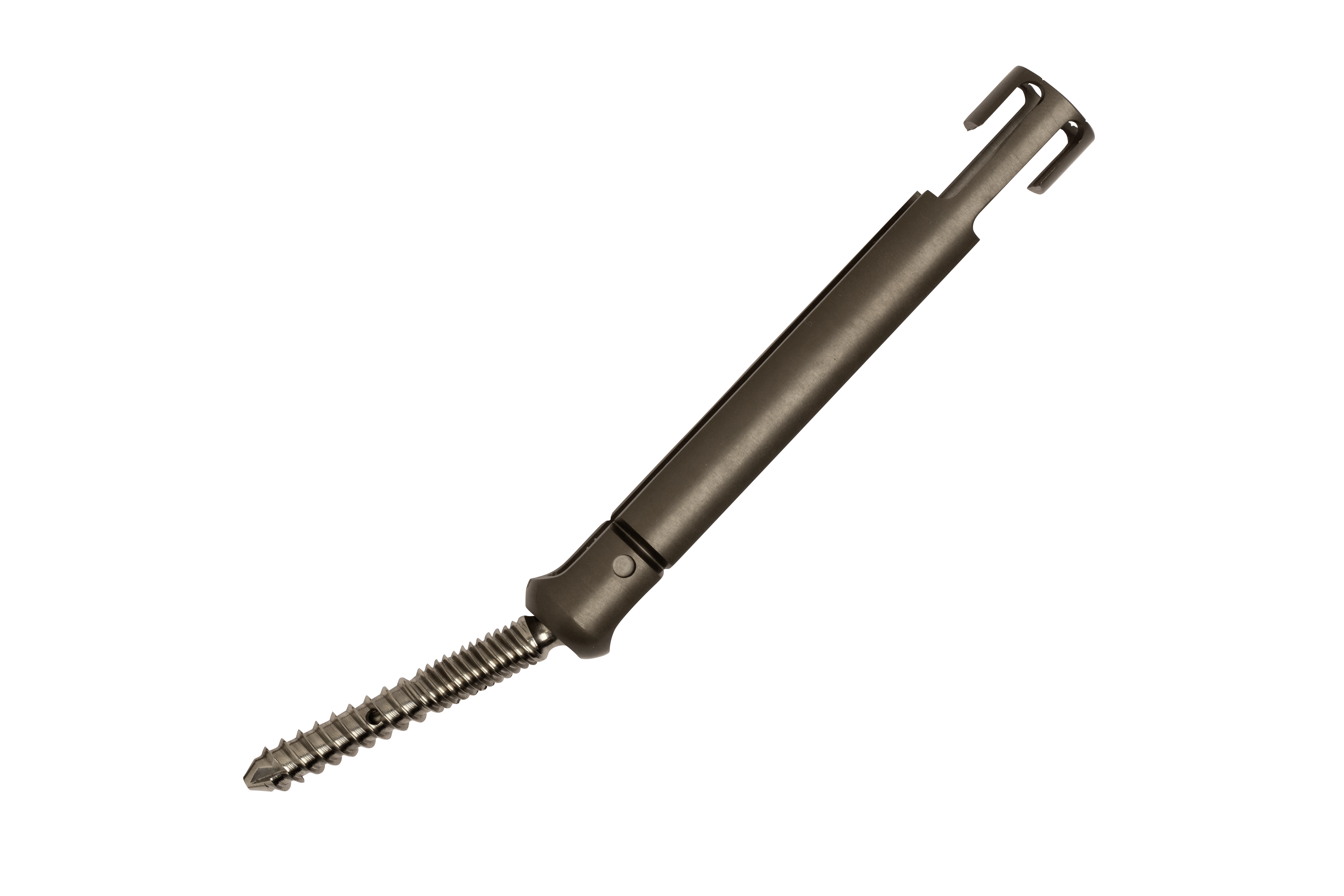 MIS Polyaxial Screw (Dual Fenestrated) product image