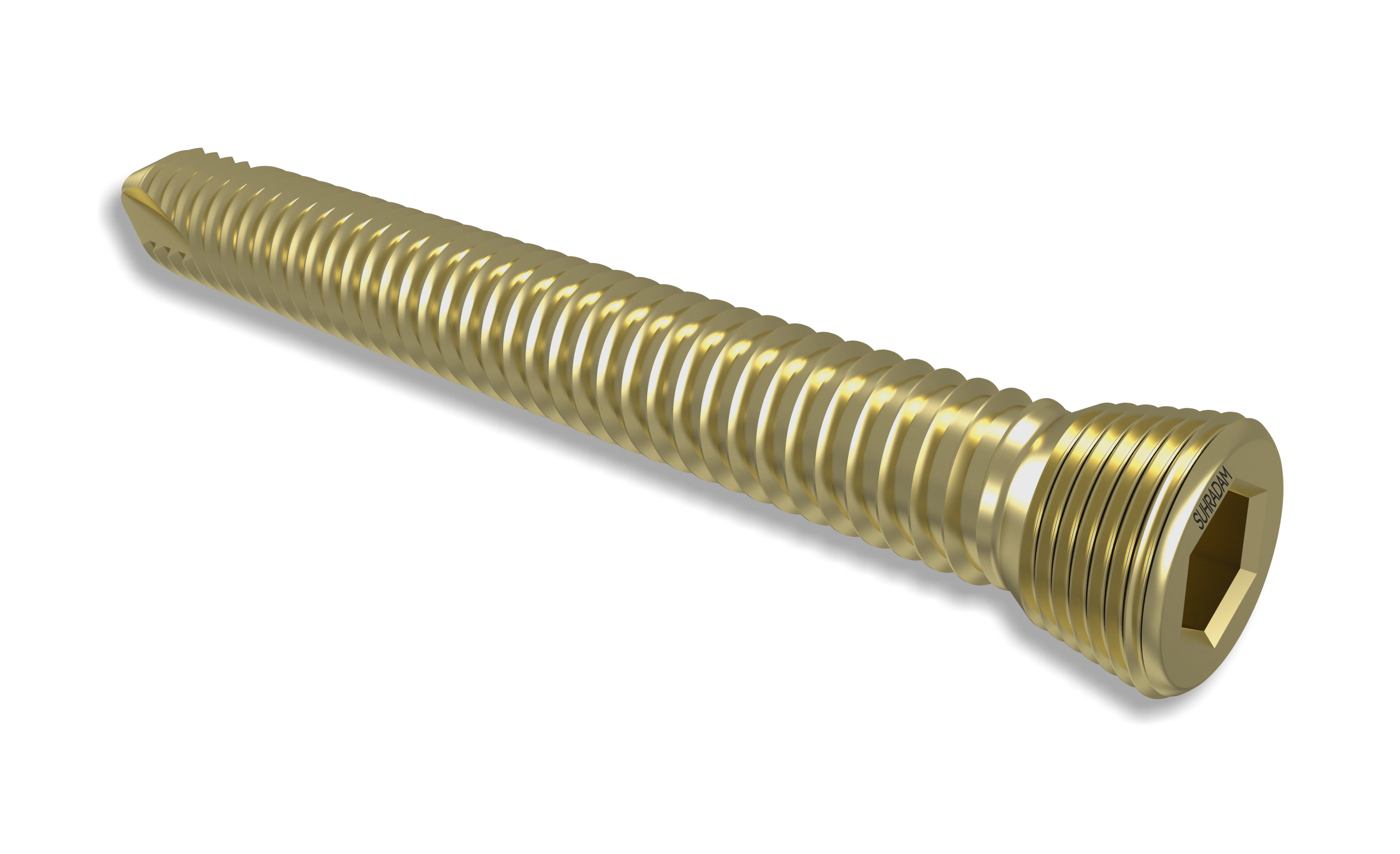 5.0 mm Locking Head Screw product image