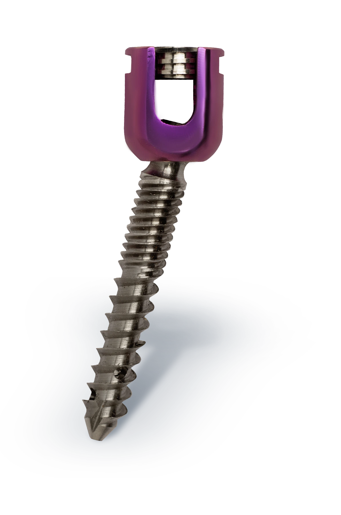Polyaxial Fenestrated Screw product image