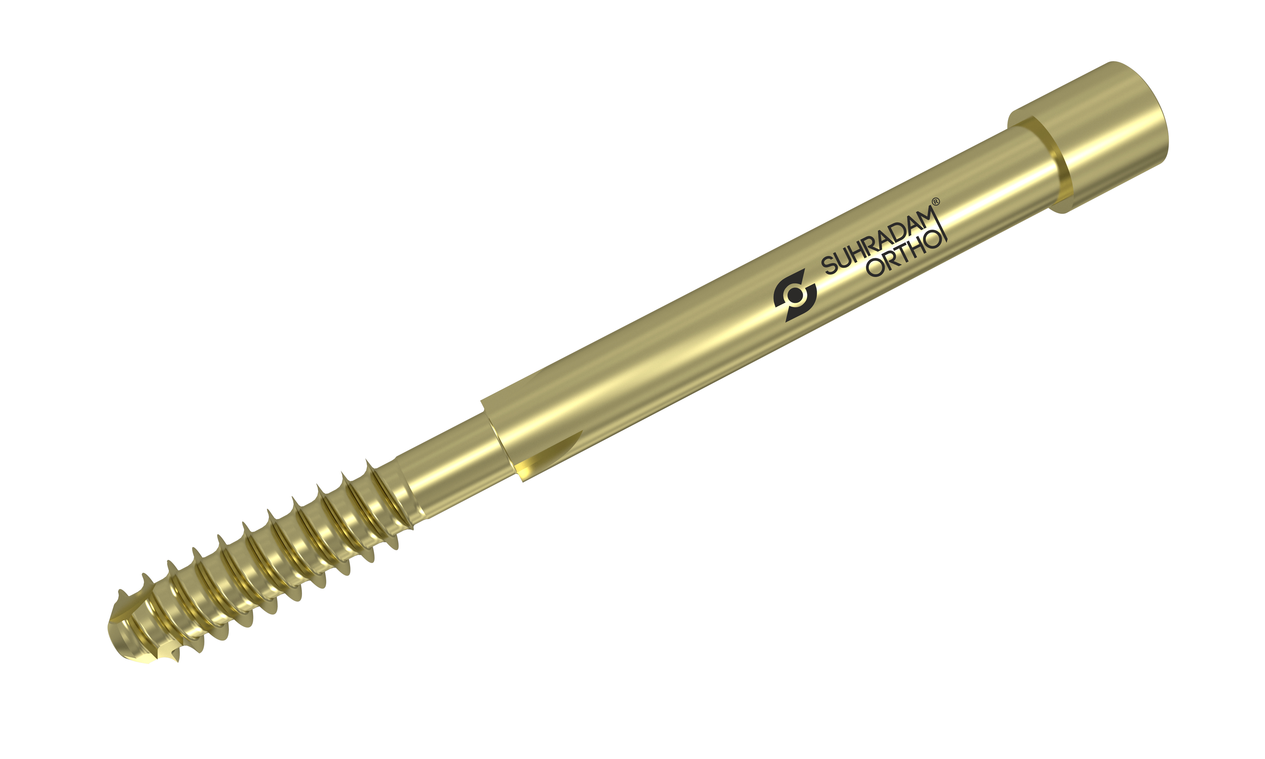 6.4mm & 8.0mm Leg Screw for PFN product image