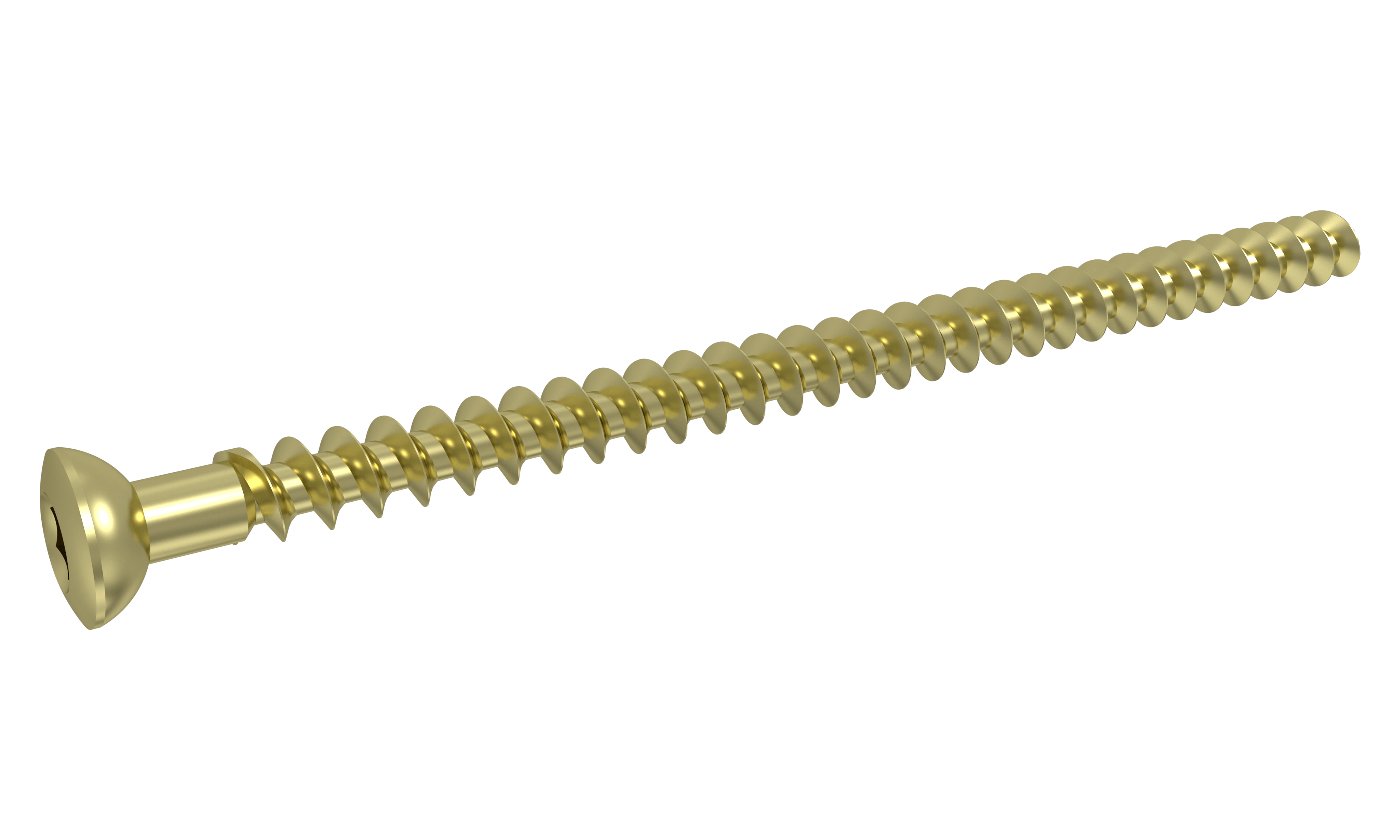 6.5mm Cancellous Screw (Full Thread) product image